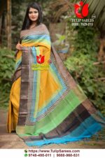 Zari Border Tussar Saree